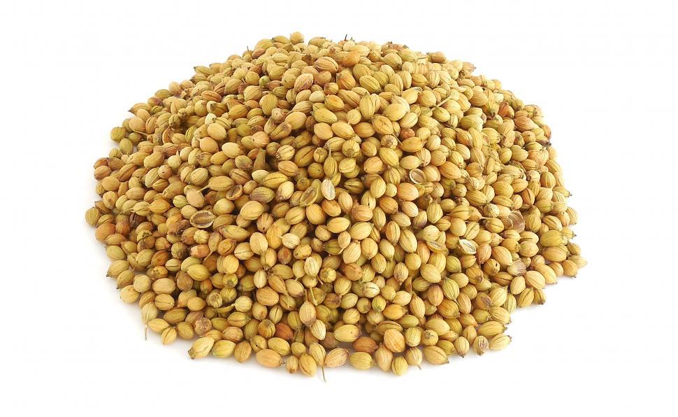 Coriander Seeds export product background