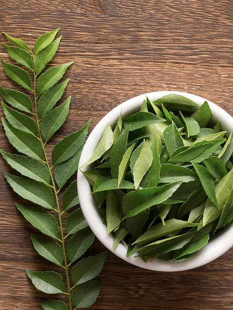 Curry Leaves export product background
